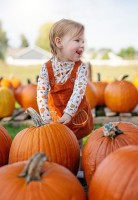 Halloween Pumpkin Carving and Entertainment